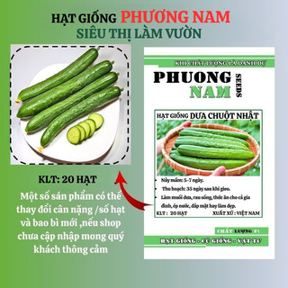 20 Hạt - Hạt Giống Dưa Chuột Nhật Phương Nam