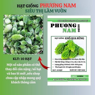 10 Hạt - Hạt Giống Khổ Qua Rừng Phương Nam