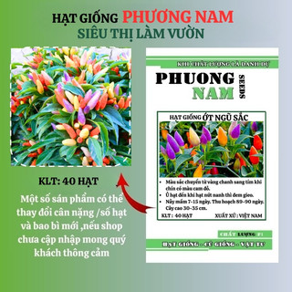 40 Hạt - Hạt Giống Ớt Ngũ Sắc Phương Nam