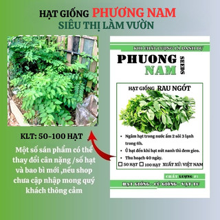 50 Hạt - Hạt Giống Rau Ngót Phương Nam