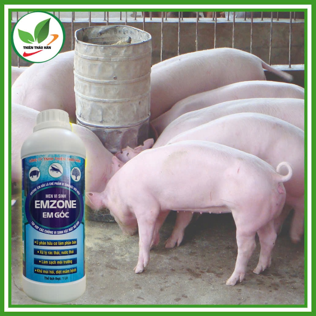Men vi sinh EMZONE - EM GỐC, ủ phân hữu cơ làm phân bón. khử mùi hôi. Chai 1L