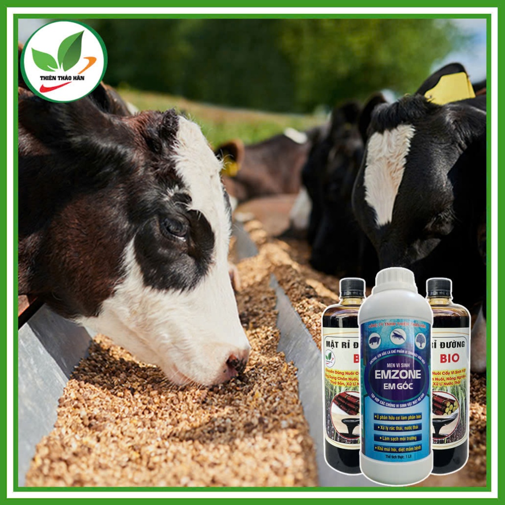 Combo 2 chai mật 1 Lít  ( Mật Loại 1 )+ 1 chai Emzone 1 Lít