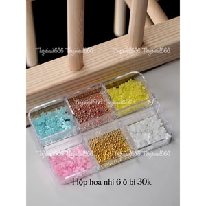 Set Phụ Kiện Gắn Móng 6 Ô Nhiều Mẫu (Hoa Nhí, Nơ Trắng Đen, Bi 6 Ô, Nơ Màu) | Trang Trí Móng Cao Cấp | TheGioiNail666