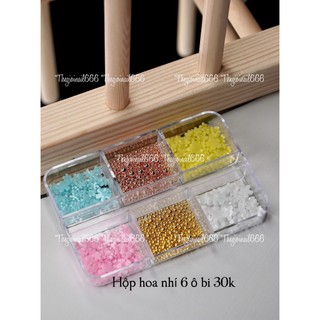 Set Phụ Kiện Gắn Móng 6 Ô Nhiều Mẫu (Hoa Nhí, Nơ Trắng Đen, Bi 6 Ô, Nơ Màu) | Trang Trí Móng Cao Cấp | TheGioiNail666