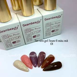 Sơn 6C SEAM Chất Đặc Siêu Bóng Cực Hot – Bộ Sơn Móng Cao Cấp 30 Màu, Bền Màu, Dễ Dùng
