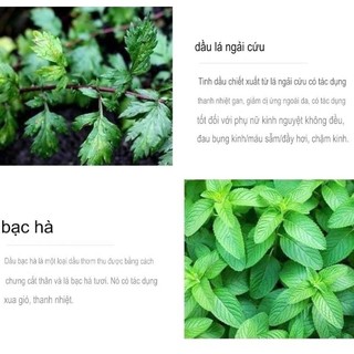 Hộp 5 Miếng Dán Nóng Tan Mỡ Bụng Nam Kinh Đồng Nhân Đường - Dán Siết Eo Tonrentang Đánh Tan Mỡ Bụng, Giảm Đau Bụng