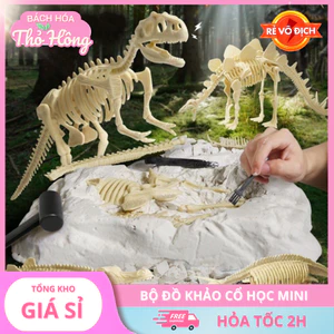 Đồ trò chơi đào khủng long bộ dồ khảo cổ học mini cho bé truy tìm hóa thạch đồ chơi thông minh trẻ em