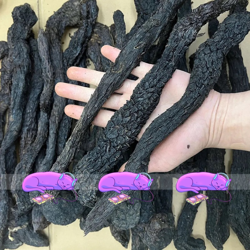 500GR Nhục Thung Dung Khô, Đẹp Dùng Để Ngâm Rượu Giúp Bổ Thận, Tráng Dương, Tăng Cường Sinh Lý