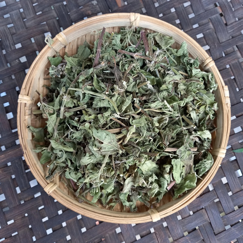 Bạc Hà Nam Khô, Đẹp Dùng Gội Dầu, Súc Miệng, Tinh Dầu