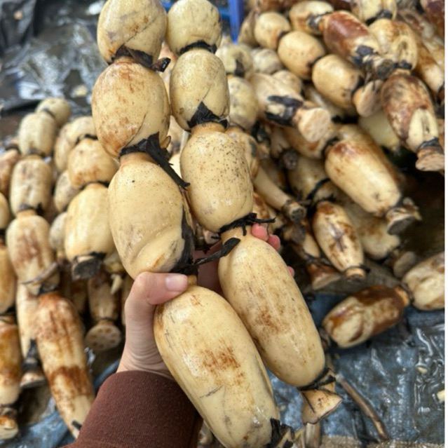 Củ Sen Giòn Ngọt Gói-1KG-Size 4 Củ