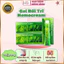 Gel giảm đau rát ngứa, bôi trĩ Hemocream