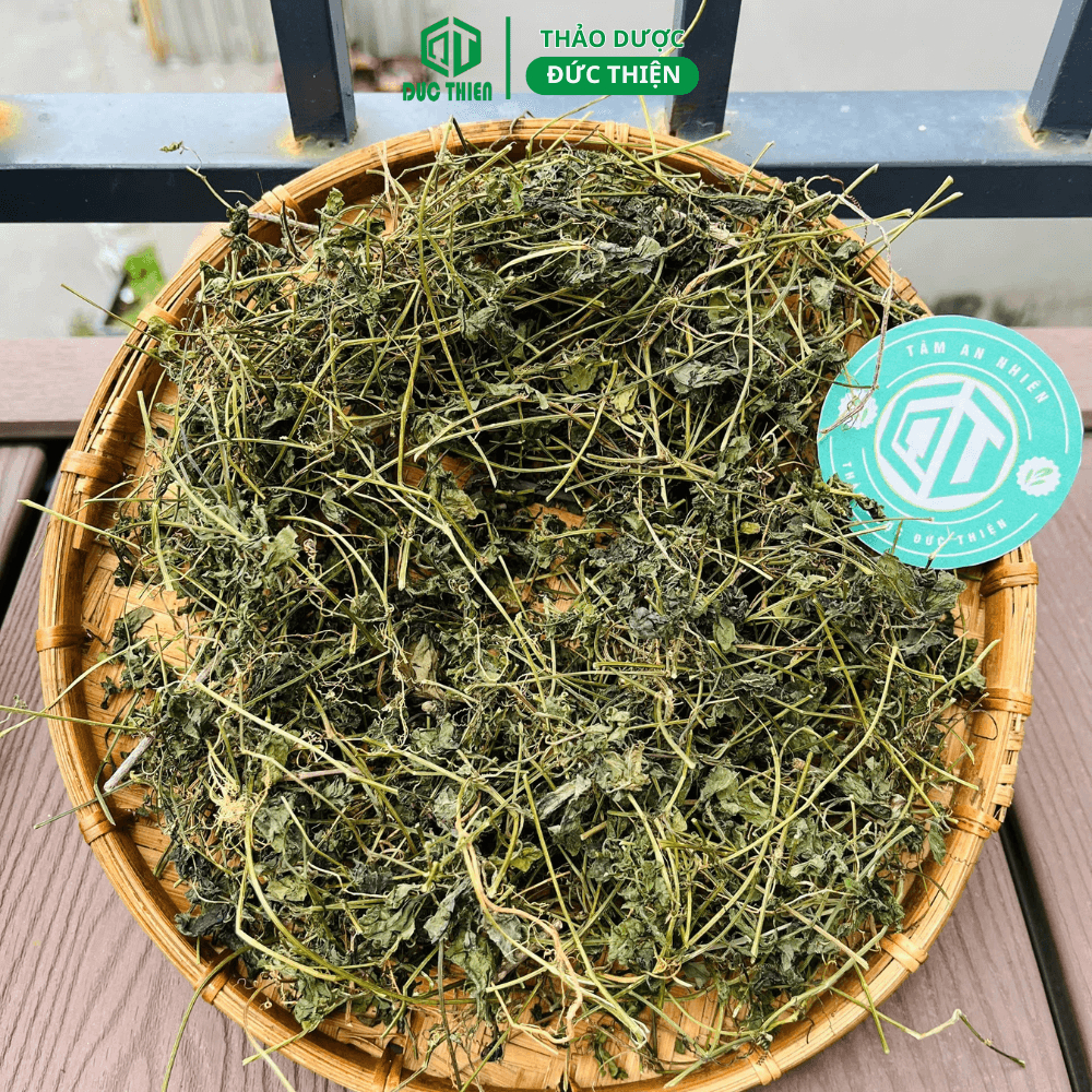250g, 500g Giảo Cổ Lam 5 lá Loại 1 Đức Thiện (Khô, Sạch, Thơm) - Hỗ Trợ Tiểu Đường, Huyết Áp