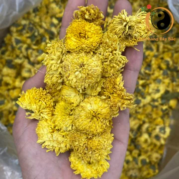 Trà hoa cúc vàng sấy khô pha trà loại 1 (500g, 1kg), Hoa cúc sấy lạnh nguyên bông lợi sữa, dễ ngủ, nấu nước sâm