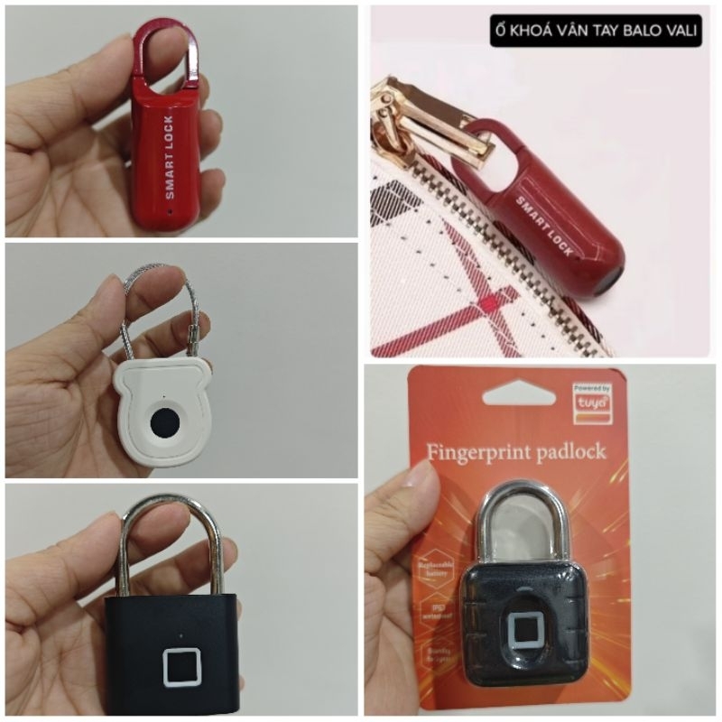 [KHOÁ BALO/KHOÁ LOCKER]Khoá vân tay balo vali hành lý nhỏ gọn thông minh tiện lợi/khoá tủ/khoá cửa