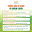 4 chai KA GREEN - Phân bón sinh học KAGREEN bung đọt, mập cành, xanh lá, kích rễ