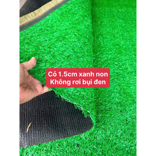 Thảm cỏ xanh non 10mv, 2m*5m, hàng không rơi bụi. trang trí không gian xanh dep