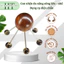Dụng cụ diện chẩn (Lớn và Nhỏ) con nhện đa năng đầu gỗ chân sừng