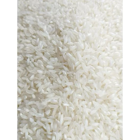 Gạo 504 túi 5kg 10kg nở nhiều mềm xốp cơm không dẻo