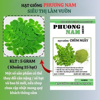 5 Gram - Hạt Giống Chùm Ngây Phương Nam
