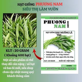 1 Kg - Hạt Giống Rau Muống Lá Tre Phương Nam
