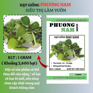 1 Gram - Hạt Giống   Rau Sam Phương Nam