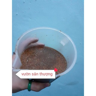 Ge đỗ tương nha đam chuối ủ 350ml