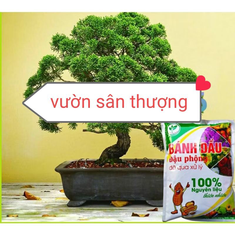 1kg Phân Bánh Dầu Đậu Phộng Đã Xử Lý Giàu Nito