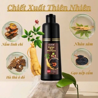 TÓC HẾT BẠC SAU 1 LẦN GỘI- TẶNG 20K KHI MUA NGAY (ĐỘC QUYỀN  ZTAZAKI)