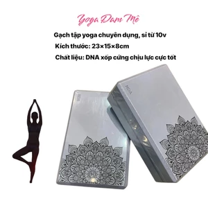 Gạch tập yoga, Block tập yoga chất liệu xốp cứng DNA Chịu lực cực tốt, vát mép, nặng 220g thân thiên với môi trường.