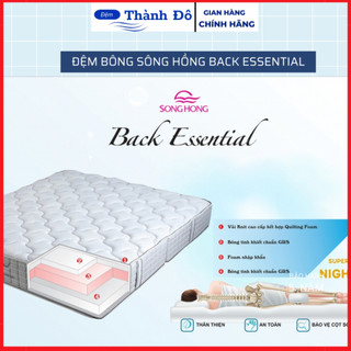 Đệm bông tinh khiết sông hồng cao cấp back essential