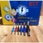Đầu cos pin rỗng đôi cao cấp KST, cosse kim bọc phủ nhựa, bấm nối dây điện 0.75 - 6m (TE)
