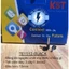 Đầu cos pin rỗng đôi cao cấp KST, cosse kim bọc phủ nhựa, bấm nối dây điện 0.75 - 6m (TE)
