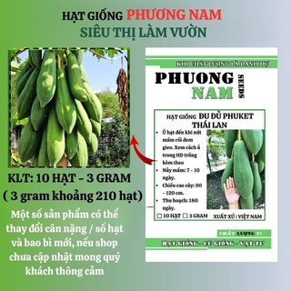 0,3 Gram - Hạt Giống Đu Đủ Ruột Đỏ Siêu Dài Phuket Thái Lan Phương Nam