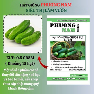15 Hạt - Hạt Giống Dưa Chuột Bụi 60 Cm Siêu Giòn Phương Nam