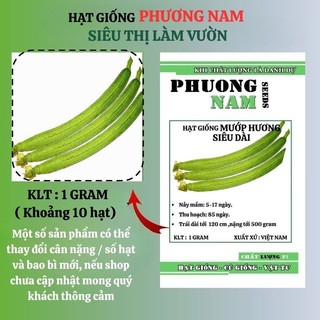 1 Gram - Hạt Giống Mướp Hương Siêu Dài Phương Nam