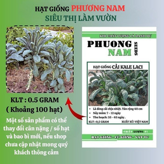 0,5 Gram - Hạt Giống Cải Xoăn Kale Laci Ý Phương Nam