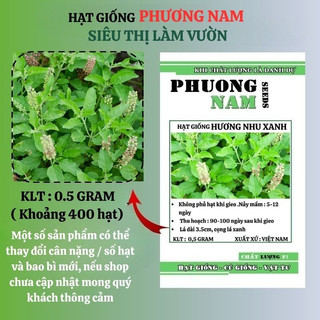 0,5 Gram - Hạt Giống Hương Nhu Xanh Phương Nam
