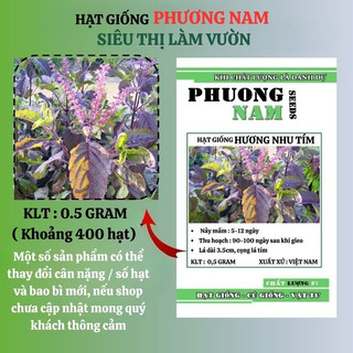 0,5gr - Hạt Giống Hương Nhu Tím Phương Nam