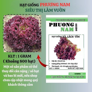 1 Gram - Hạt Giống Xà Lách Tím Phương Nam
