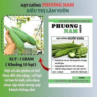 1 Gram - Hạt Giống Mướp Khía Phương Nam