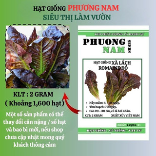 1 Gram - Hạt Giống Xà Lách Đỏ Romaine Phương Nam