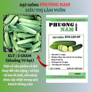 2 Gram - Hạt Giống  Dưa  Leo Phương Nam