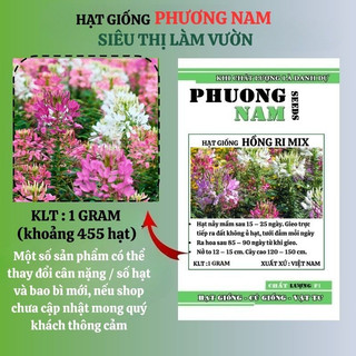 1 Gram - Hạt Giống Hoa Hồng Ri (Túy Điệp ) Mix Phương Nam