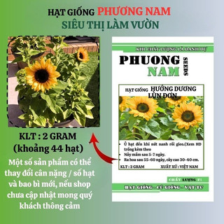 2 Gram - Hạt Giống Hoa Hướng Dương Lùn Đơn Phương Nam