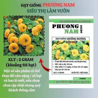 2 Gram - Hạt Giống Hoa Hướng Dương Gấu Phương Nam