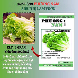 1 Gram - Hạt Giống Xà Lách Giòn Carol Phương Nam