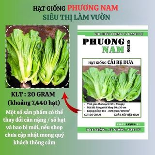 20 Gram - Hạt Giống Cải Bẹ Dưa Phương Nam