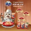 Combo 4 Thức ăn ướt cho mèo Silver Spoon dạng sốt/dạng thạch 60g/gói (nhiều vị)