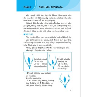 Sách - Kỹ Thuật Nuôi Gà Chọi - ndbooks
