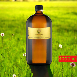 Tinh dầu nước hoa CAO CẤP CAROLINE - Big Size - Đa dạng mùi hương thơm sang chảnh của các hãng nước hoa lớn